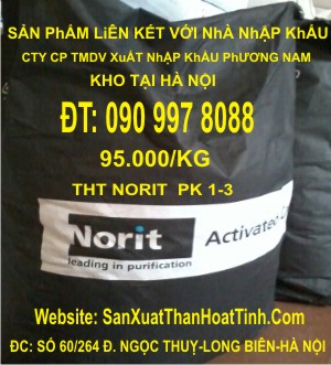 Than hoạt tính Norit PK 1-3 Hà Lan 106.000/kg